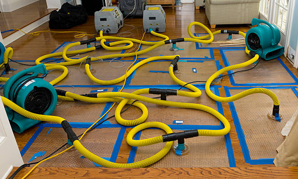 Professional Structural Drying And Dehumidification technician working in Nekoosa, WI
